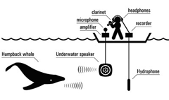 recording diagram