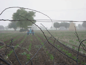 zameen tractor