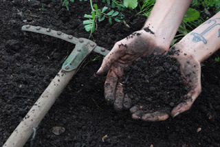 hand,rake,soil
