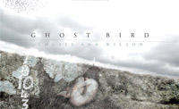 ghost bird